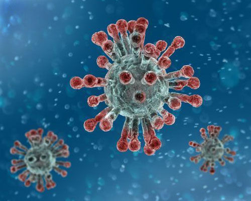 Corona Virus