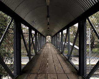  la prcaire passerelle de bois 