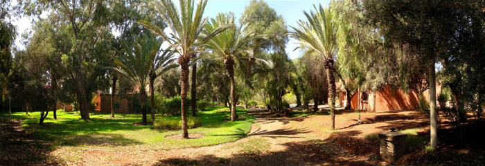 les jardins d'Olhao