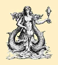 Sirène bicaudale